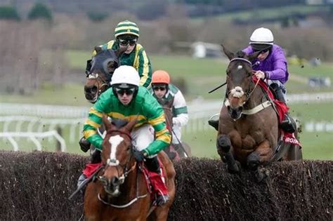 cheltenham festival news|News, sport and opinion from the Guardian's US edition .